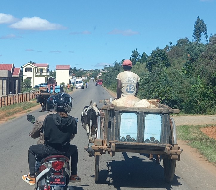 Une rue à Madagascar : traditions et modernité n’ont pas de mal à se côtoyer.